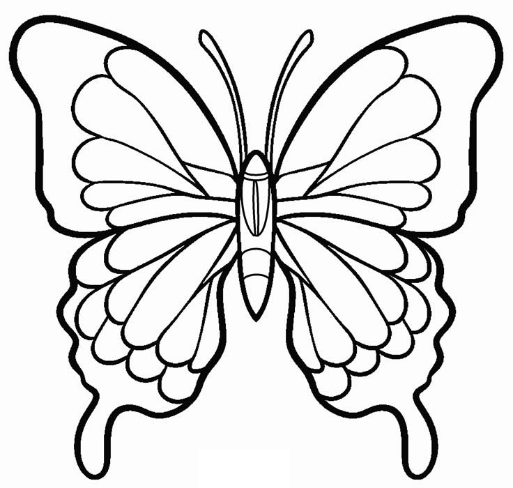 Desenho de Maravilhosa Borboleta Pdf para Imprimir e Colorir e Pintar