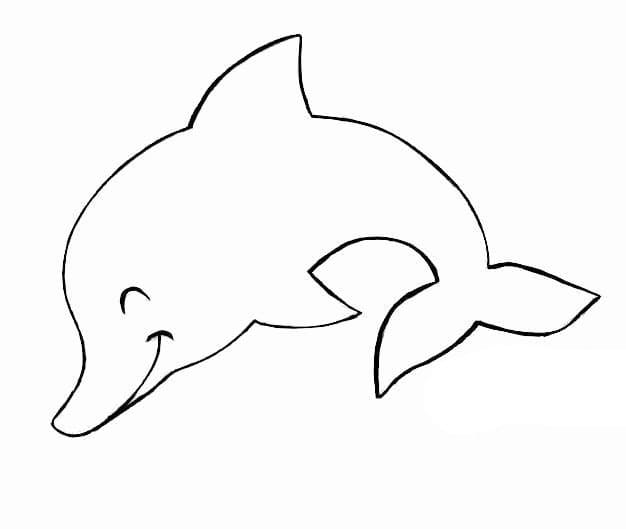 Desenho de Boto Cor de Rosa Infantil para Colorir e Imprimir e Pintar