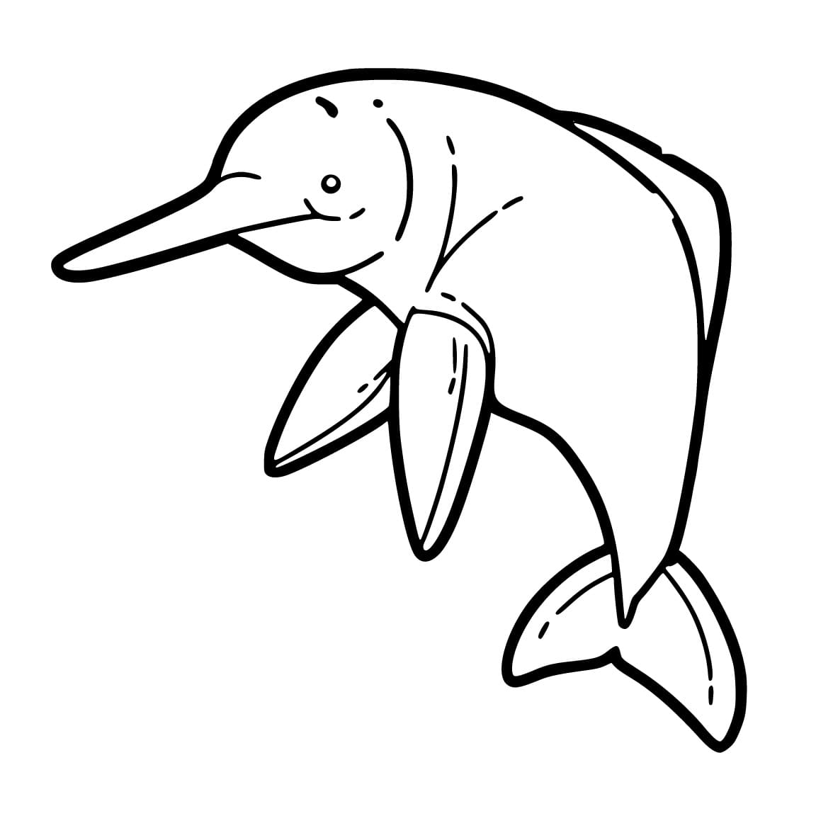 Desenho de Boto Cor de Rosa para Colorir com Lápis de Cor e Imprimir e Pintar