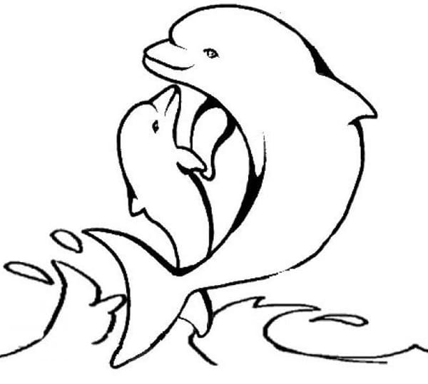 Desenho de Boto Cor de Rosa para Colorir e Imprimir Grátis e Pintar