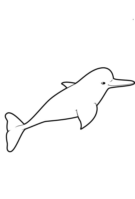 Desenho de Boto Cor de Rosa Simples para Colorir e Pintar