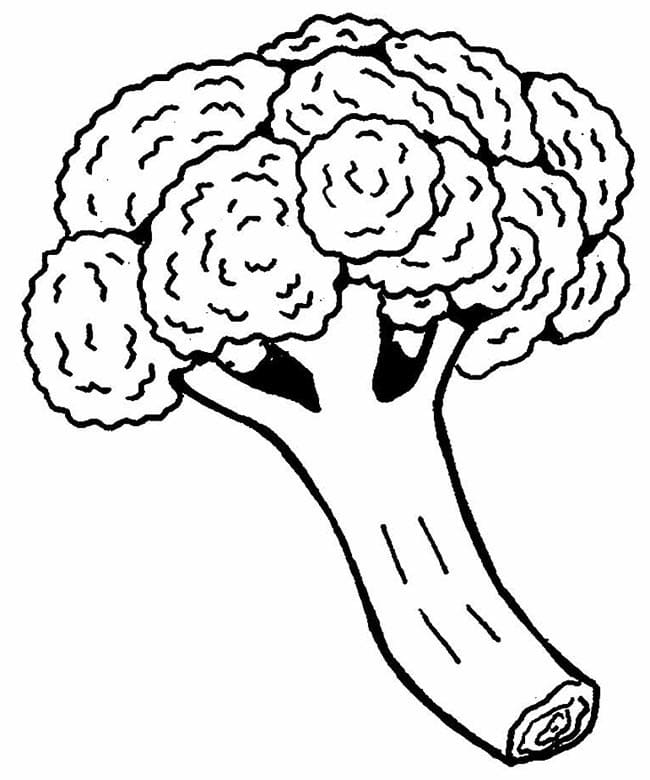 Desenho de Brócolis Grátis para Crianças para Colorir e Pintar