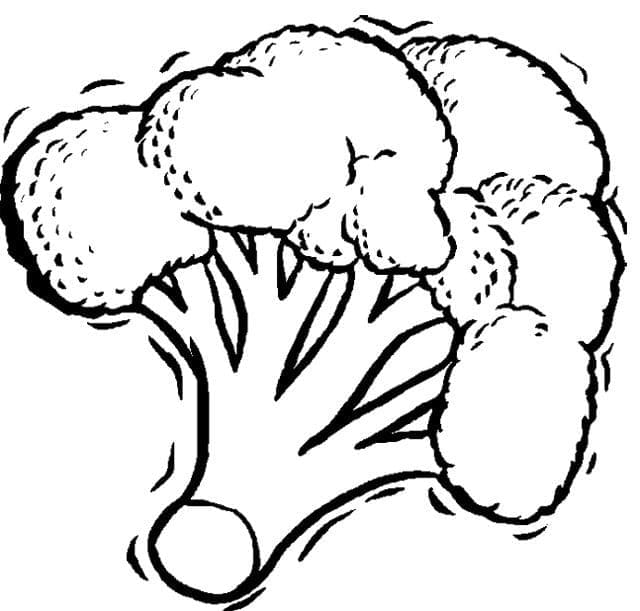 Desenho Imprimivel de Brócolis para Colorir com Giz de Cera e Pintar