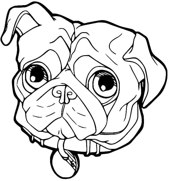 Desenho de Cabeça de Pug para Colorir e Pintar