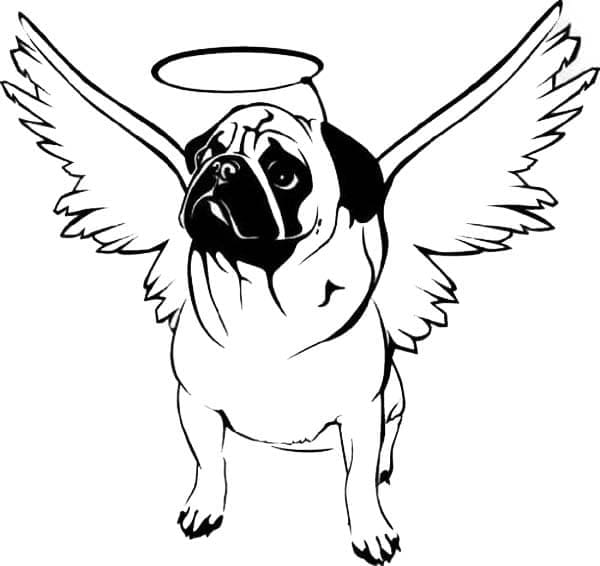 Desenho de Cachorro Pug com Asas para Colorir e Pintar