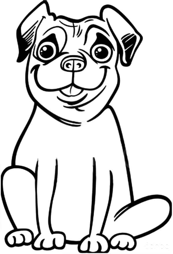 Desenho de Cachorro Pug Feliz para Colorir e Pintar