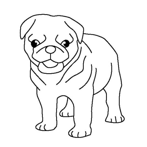 Desenho de Cachorro Pug Simples para Colorir e Pintar
