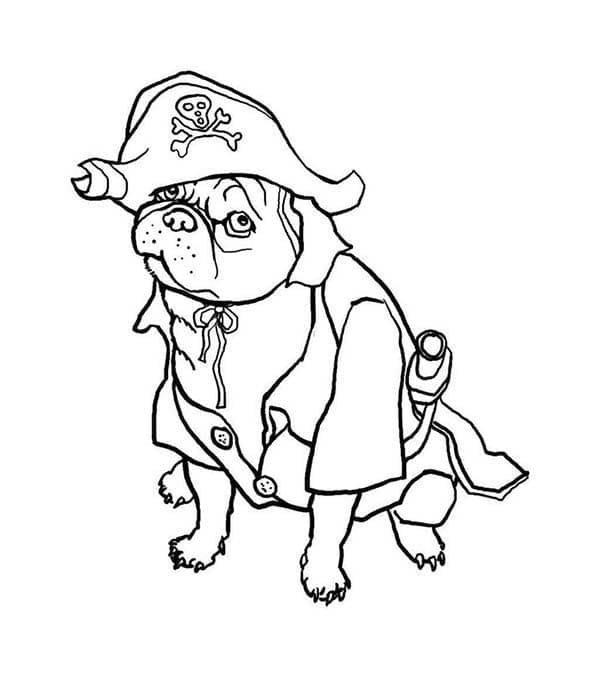 Desenho de Pirata Pug para Colorir e Pintar