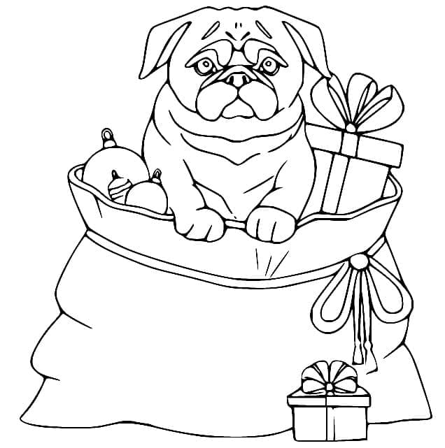 Desenho de Pug e Presentes de Natal para Colorir e Pintar