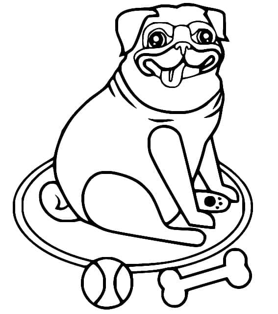 Desenho de Pug Engraçado para Colorir e Pintar