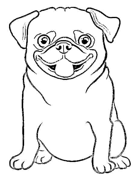 Desenho de Pug Feliz para Colorir e Pintar