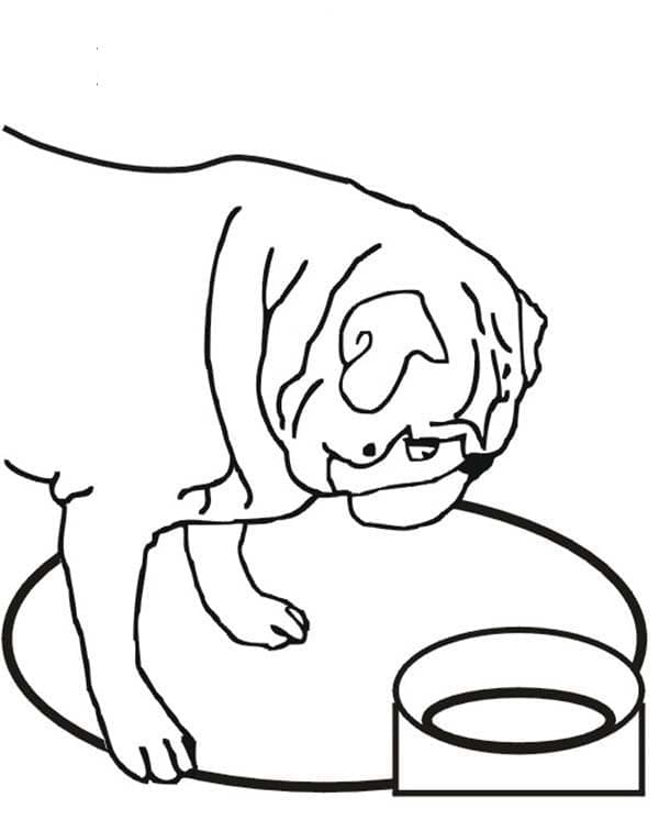 Desenho de Pug Grátis para Crianças para Colorir e Pintar