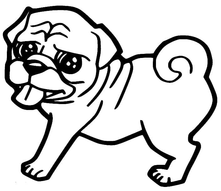 Desenho de Pug Simples para Colorir e Pintar