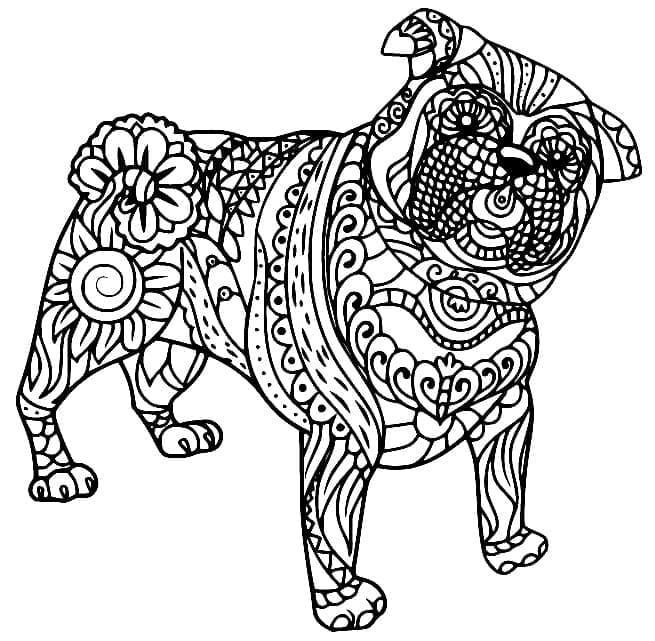 Desenho de Pug Zentangle para Colorir e Pintar