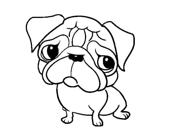 Desenho de um Cachorrinho Pug para Colorir e Pintar