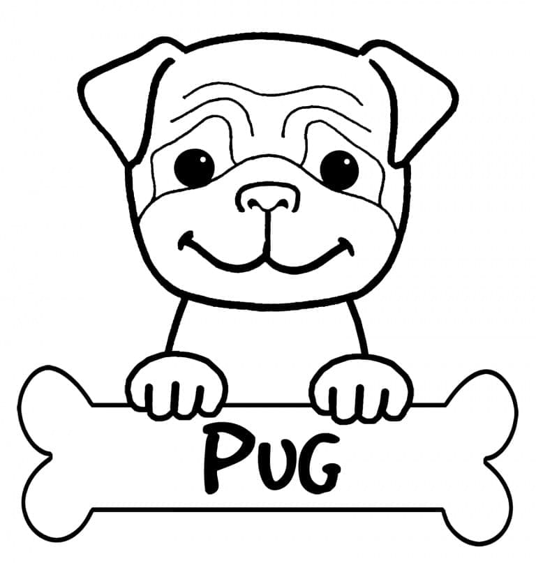 Desenho de um Lindo Pug para Colorir e Pintar