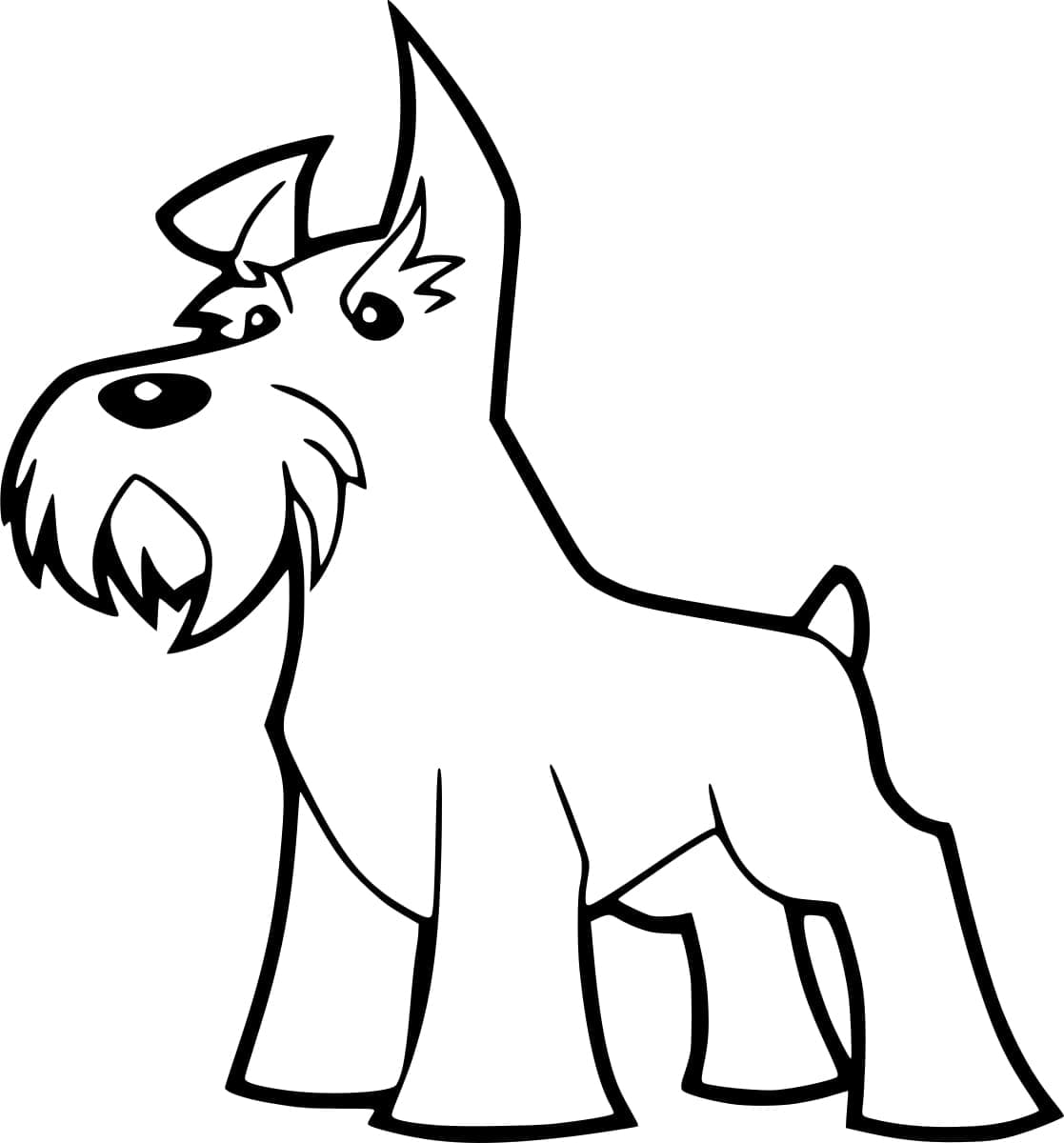 Desenho de Schnauzer Animado para Colorir e Pintar