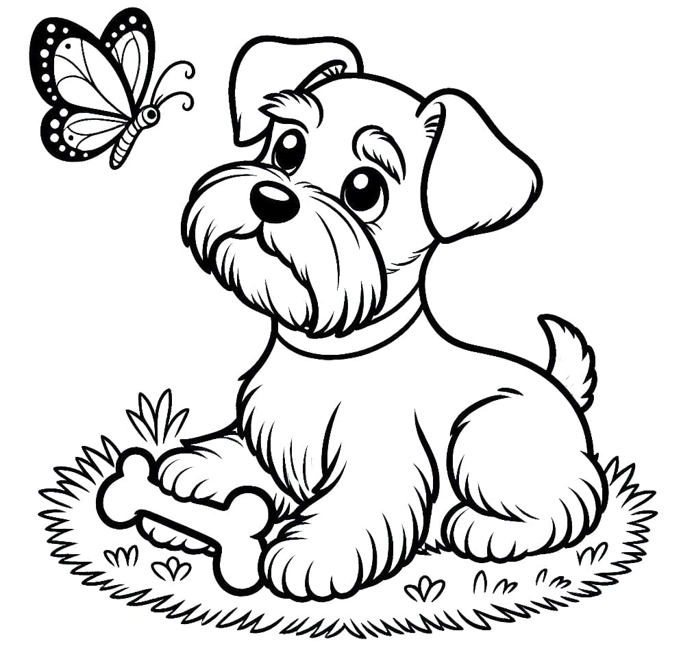 Desenho de Schnauzer e Borboleta para Colorir e Pintar