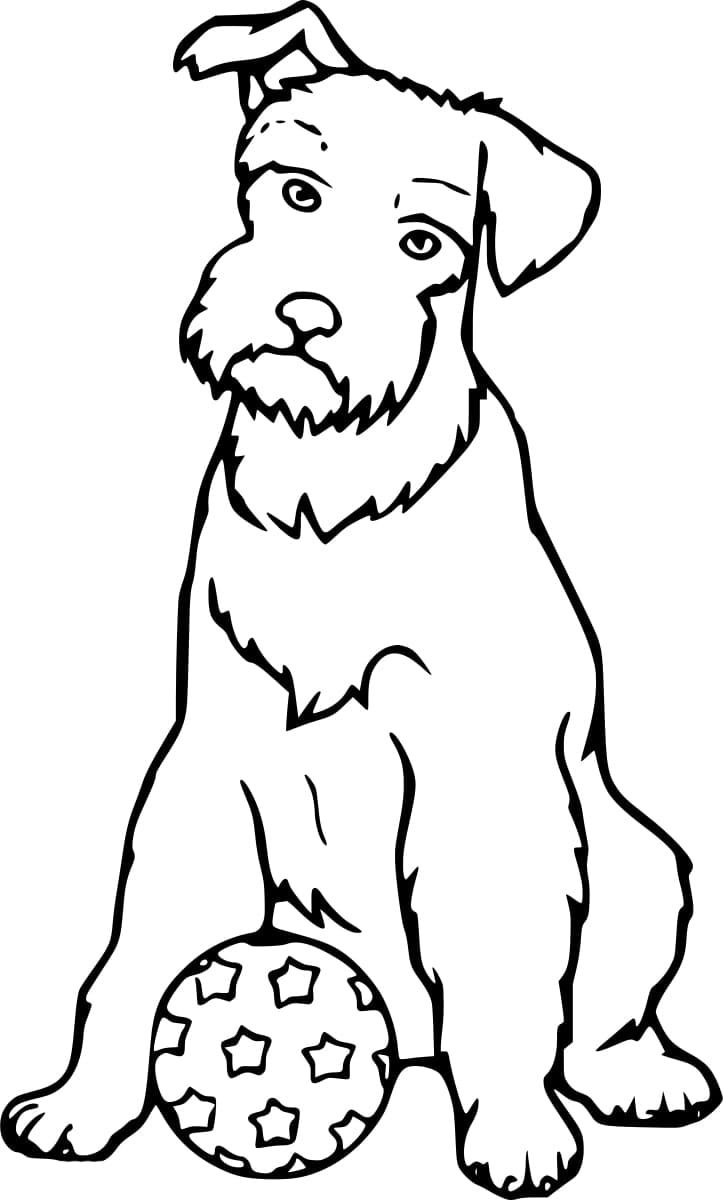 Desenho de Schnauzer e uma Bola para Colorir e Pintar