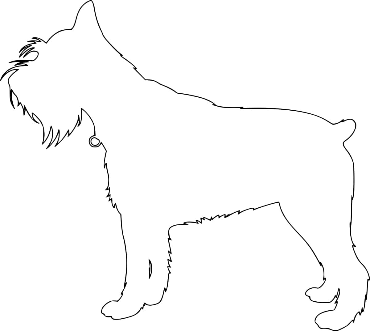 Desenho de Schnauzer Fácil para Colorir e Pintar