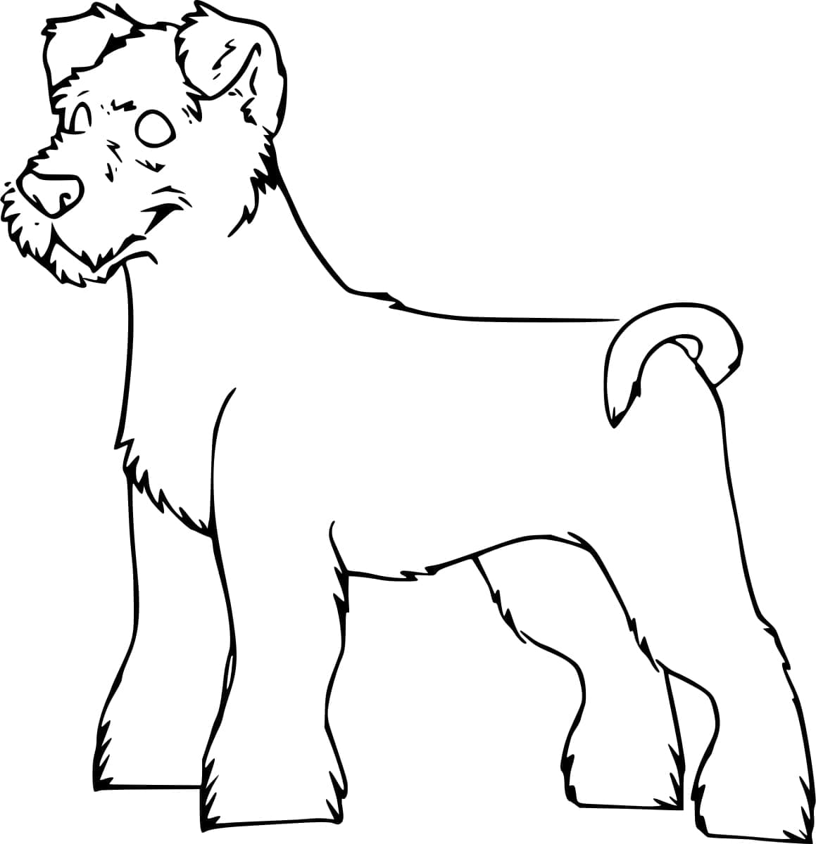 Desenho de Schnauzer Grátis para Colorir e Pintar