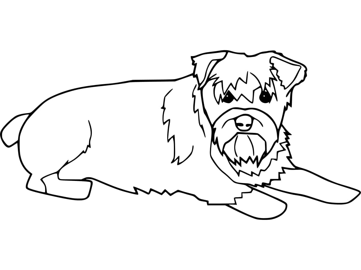 Desenho de Schnauzer para Crianças para Colorir e Pintar
