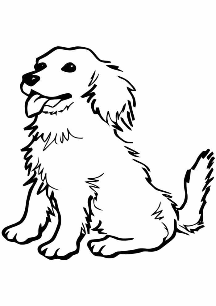 Desenho de Bom Cachorro para Colorir e Pintar