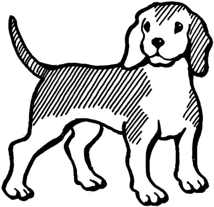 Desenho de Cachorro Beagle para Crianças para Colorir e Pintar