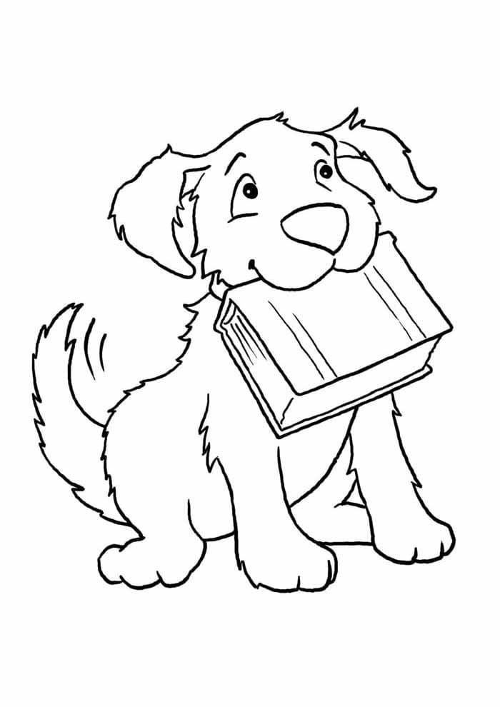 Desenho de Cachorro com Livro para Colorir e Pintar