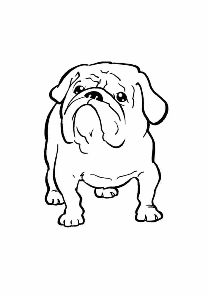Desenho de Cachorro Fofo para Colorir e Pintar