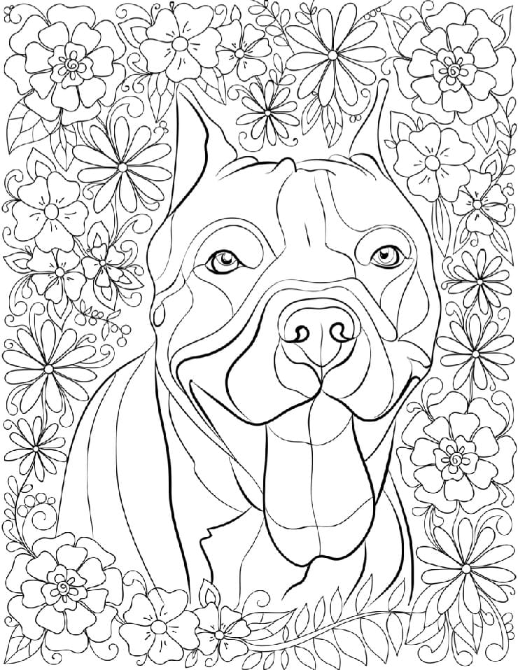 Desenho de Cachorro Pitbull Feliz para Colorir e Pintar