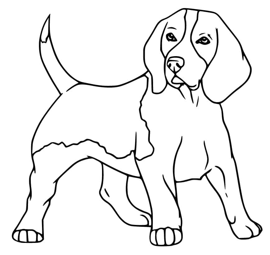 Desenho de Imagem de Cachorro Beagle para Colorir e Pintar