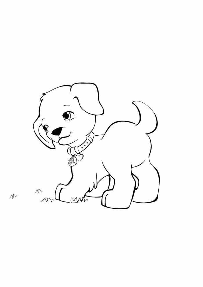 Desenho de Pequeno Cachorro para Colorir e Pintar