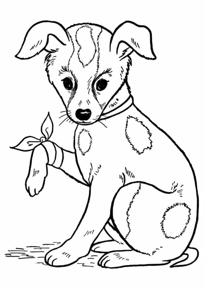 Desenho de Pobre Cão para Colorir e Pintar