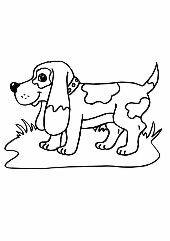 Desenho de um Cachorro Engraçado para Colorir e Pintar