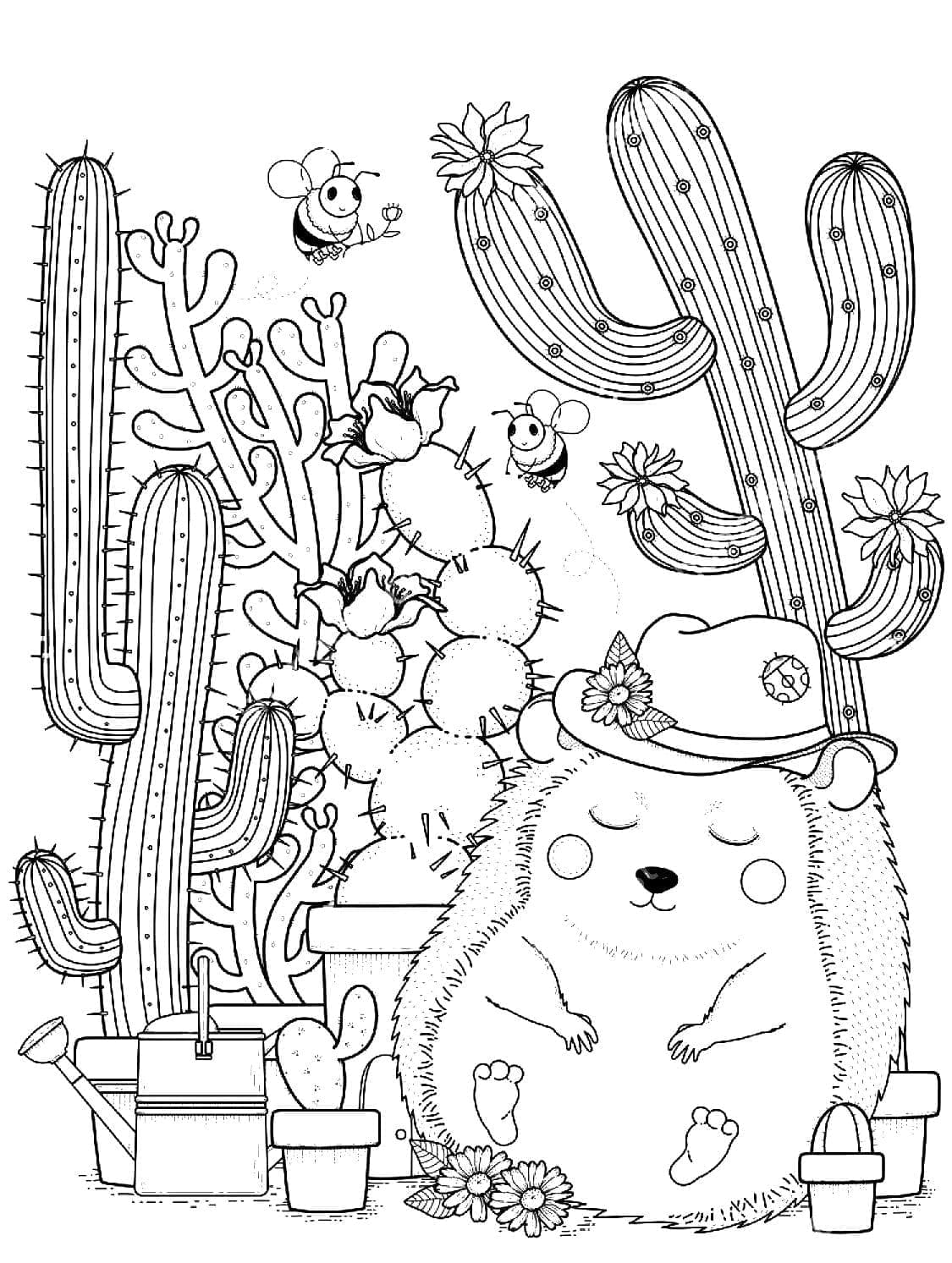 Desenho de Cactos e Ouriço para Colorir e Pintar