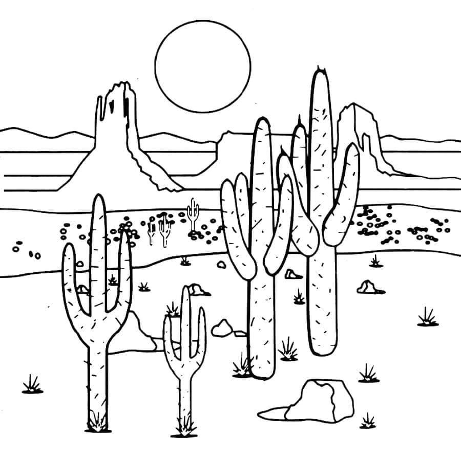 Desenho de Cactos no Deserto para Colorir e Pintar