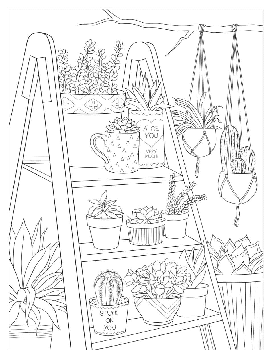 Desenho de Cactos para Colorir e Pintar