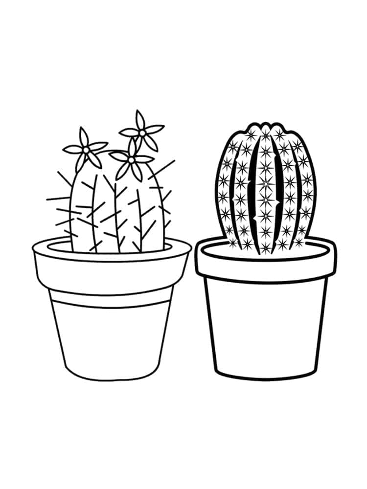 Desenho de Dois Cactos para Colorir e Pintar