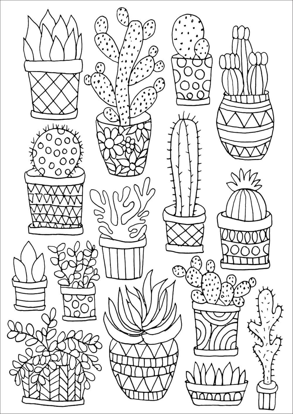 Desenho de Muitos Cactos para Colorir e Pintar