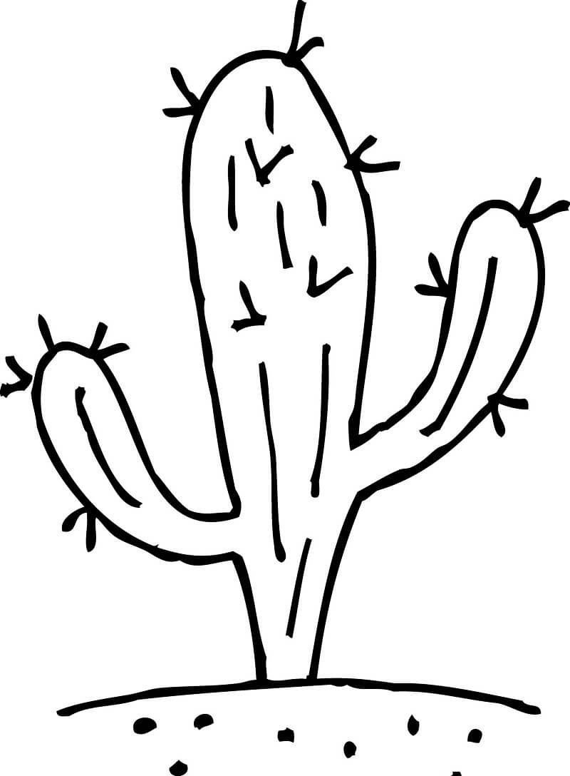 Baixar Desenho Cacto Simples para Imprimir e Pintar