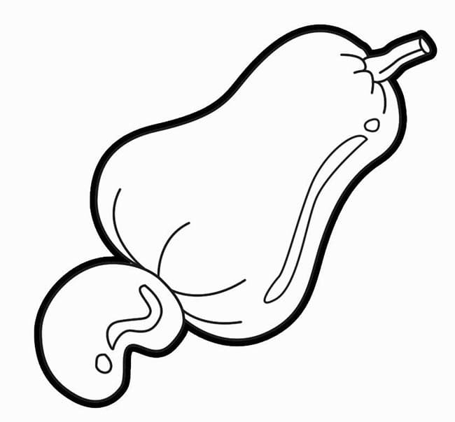 Desenho de um Caju para Colorir e Pintar