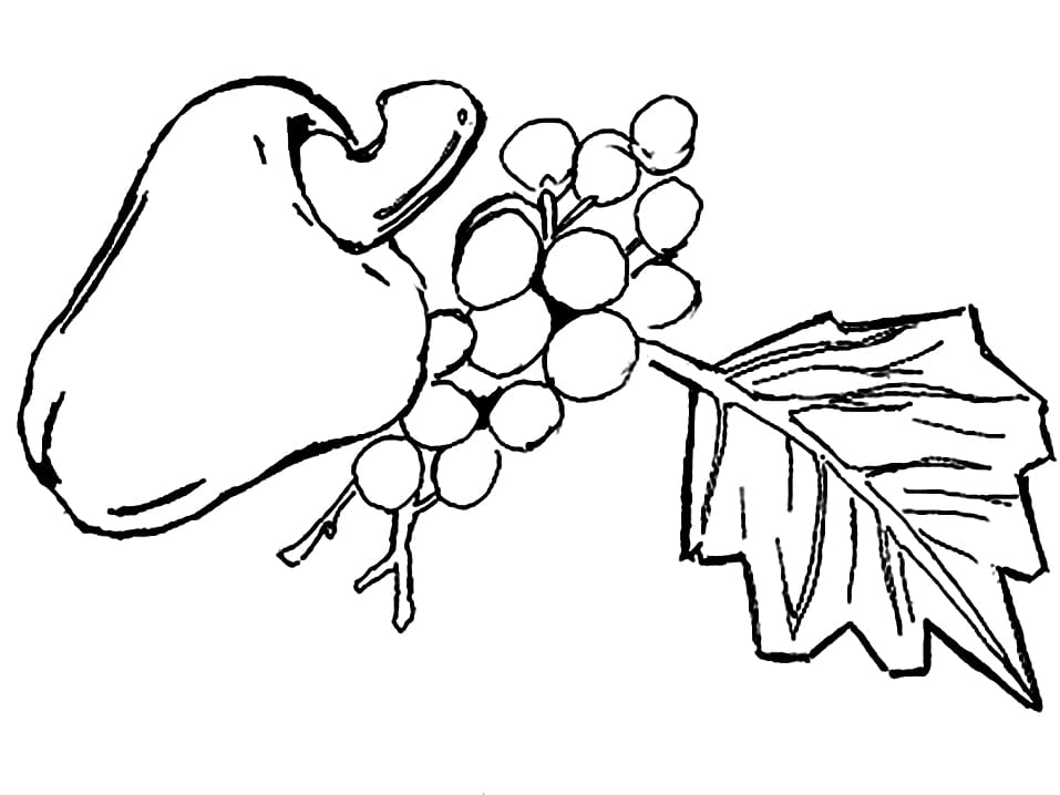 Desenho para Imprimir de Caju para Colorir e Pintar