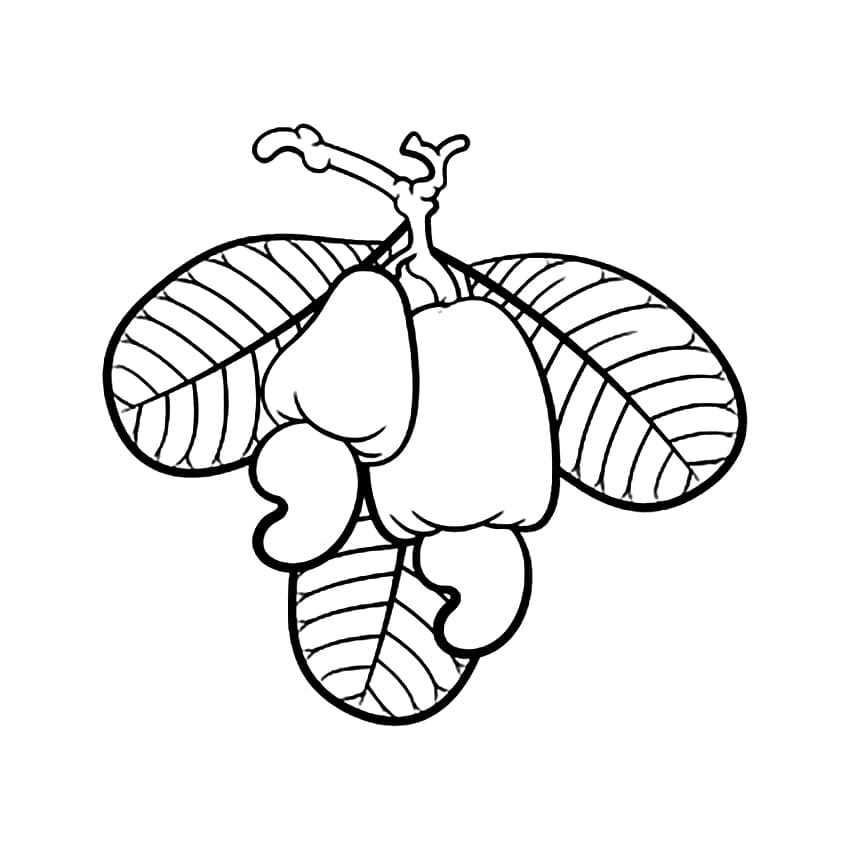 Desenho Pdf de Caju para Colorir e Pintar