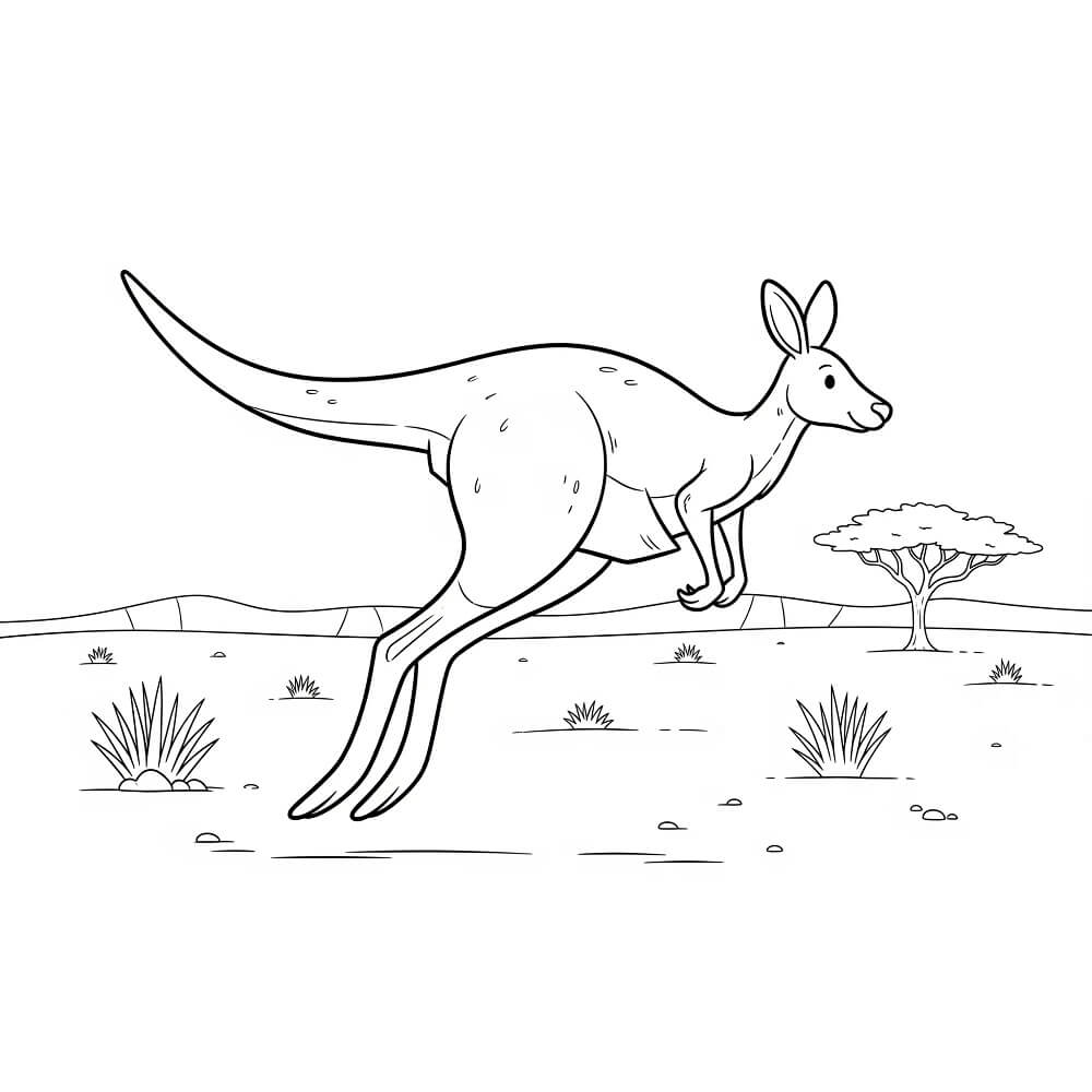 Desenho de Canguru Grátis para Colorir