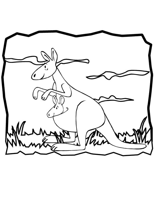 Desenho de Canguru 8 para Colorir