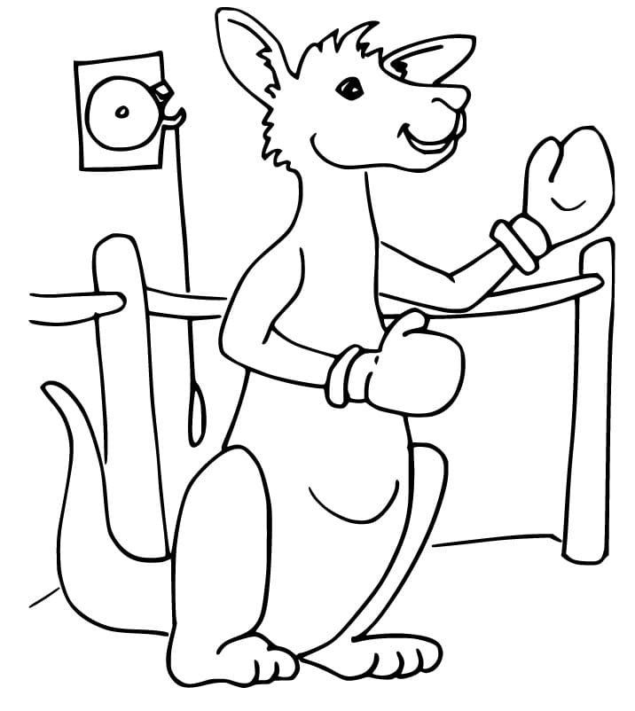 Desenho de Canguru Boxeador para Colorir
