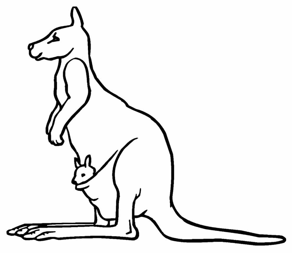Desenho de Canguru com Seu Filho para Imprimir e Colorir