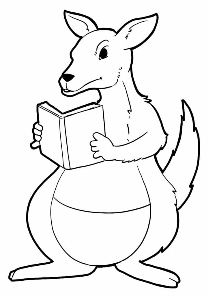 Desenho de Canguru com um Livro para Colorir