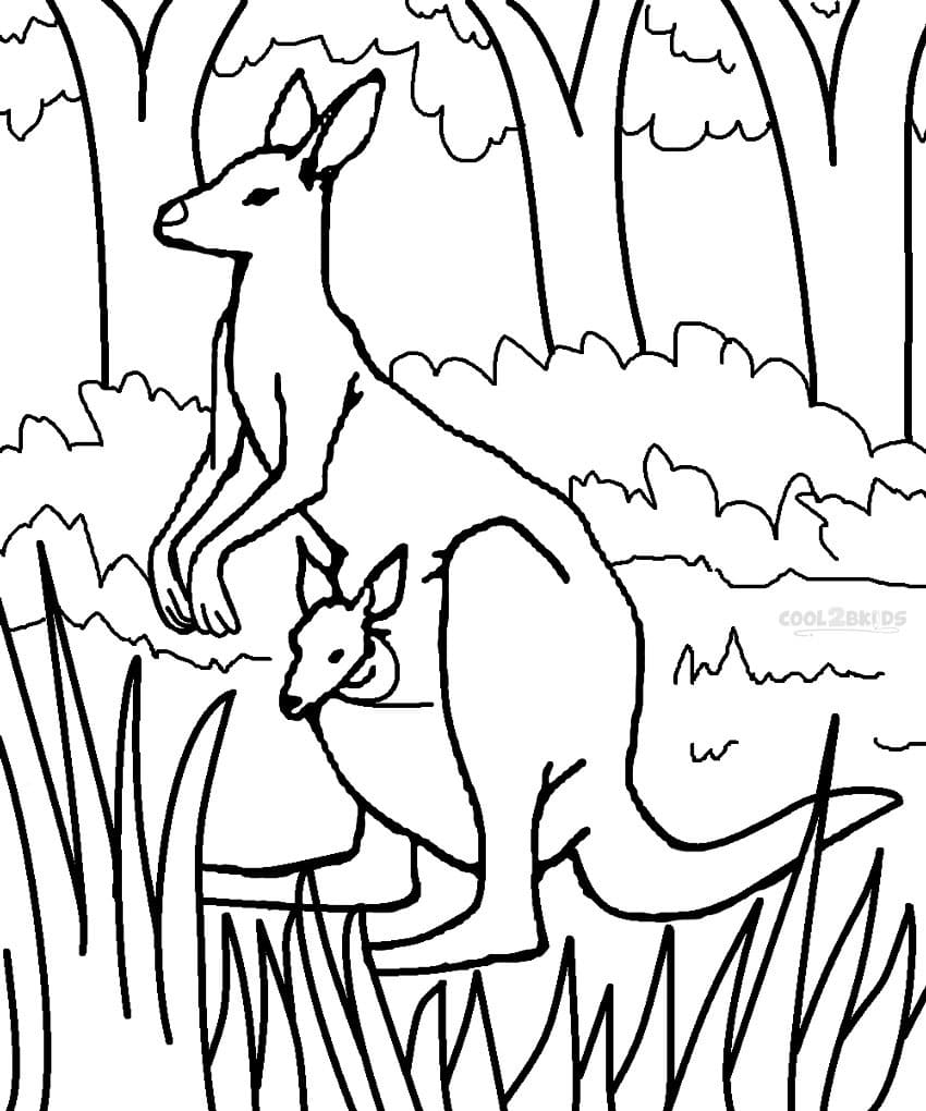 Desenho de Canguru na Floresta para Colorir